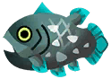 矛尾魚
