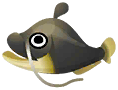 鯰魚