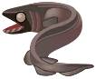 tiburón anguila