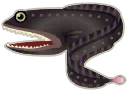 吞鰻