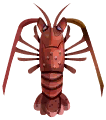 spiny lobster
