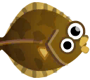 帝王鰈魚