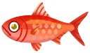 紅金眼鯛