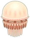 medusa gigante