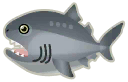squalo bocca grande