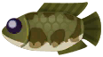 pez cabeza serpiente