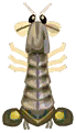 langosta mantis