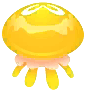 yellow moon jellyfish