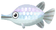 pez caimán platino