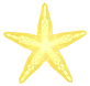 stella marina gialla