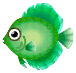 pesce disco verde