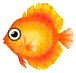 pesce disco arancio