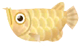 象牙色骨舌魚