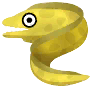 honey eel