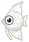 white angelfish
