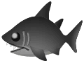 tiburón liso