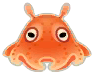 扁面蛸