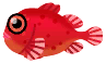 紅色氣球魚