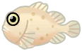 白色氣球魚