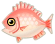 血鯛魚