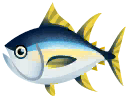 黃鰭鮪魚