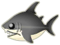 大白鯊