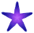 estrella de mar morada