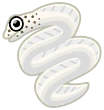 anguila listón blanca