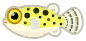 green spotted puffer