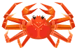 紅松葉蟹