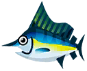 旗魚