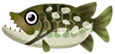 白斑狗魚