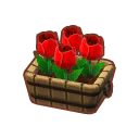 potted plants