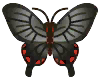 mariposa byasa
