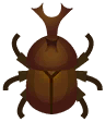 scarabeo kabutomushi