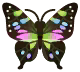 purple swallowtail