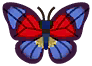 mariposa narciso