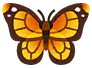大樺斑蝶