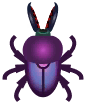 purple stag beetle