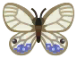 mariposa andrómeda