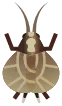방울벌레