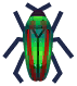 escarabajo joya