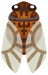 cicala imperatrice