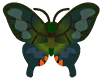 mariposa bianor