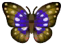 mariposa morada