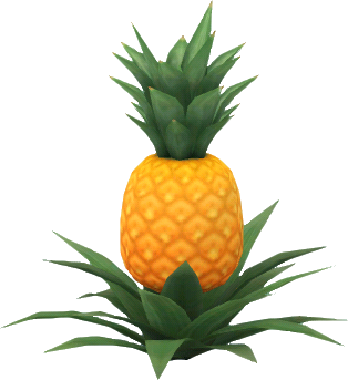 plant d'ananas