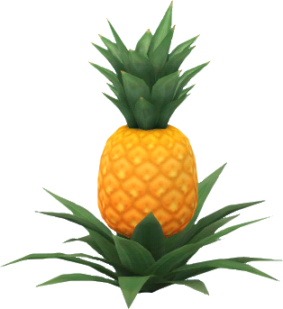 pineapple plant