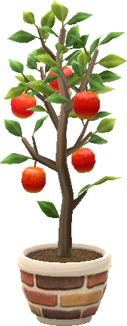 사과나무 화분