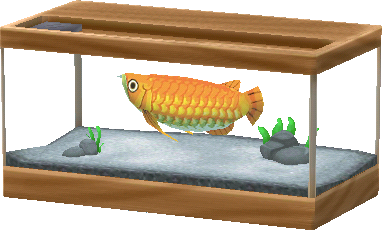 arowana tank