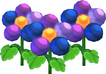 Blau-Beerenblüten